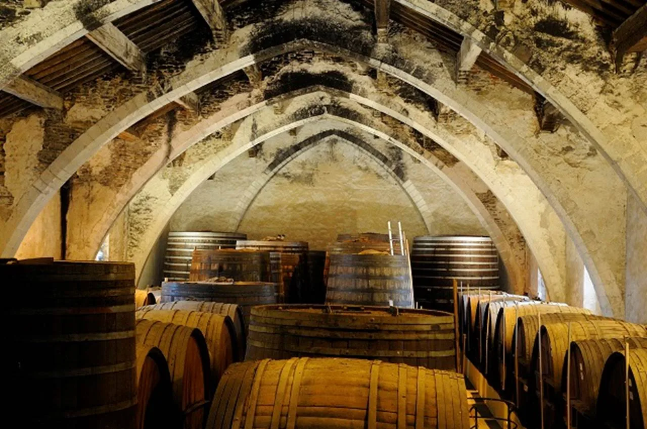 Collioure Cellier des Dominicains Collioure Cellier des Dominicains
