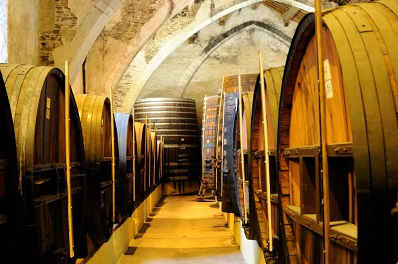cellier-des-dominicains cellier-des-dominicains